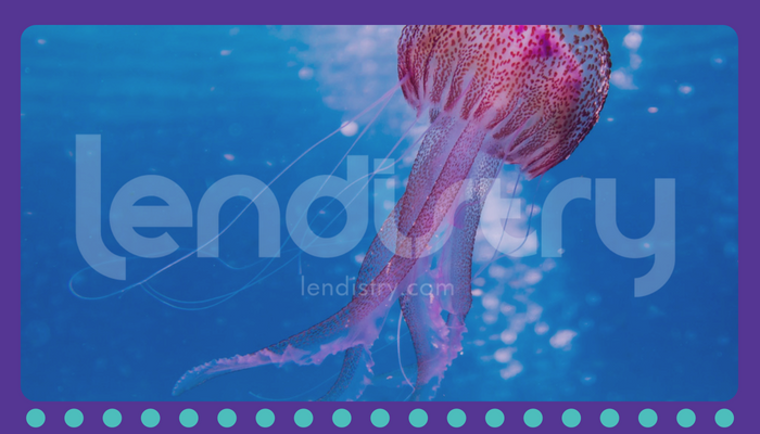 In a World of Bipeds, Be a Jellyfish: Deep Thoughts on Deep Work