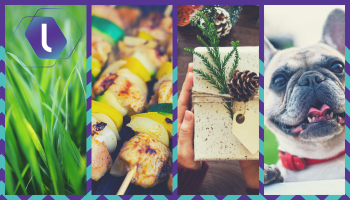 15 Ideas for Starting a Seasonal Business