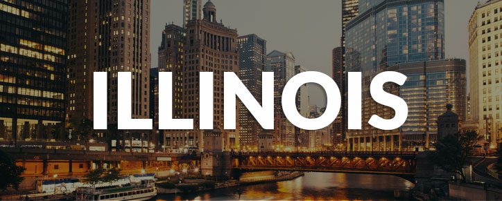 Illinois State Banner