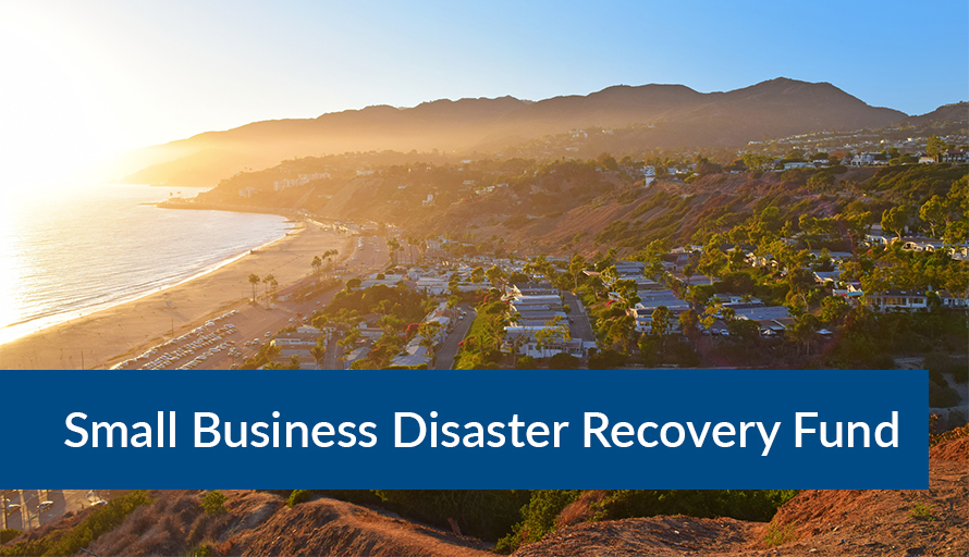 Los Angeles Area Chamber of Commerce Foundation Small Business Disaster Recovery Fund Banner Image