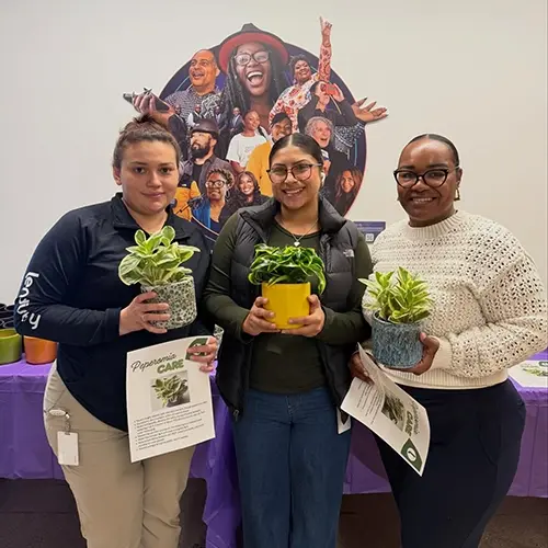 Our SoCal offices are now taking suggestions on what to name our plants