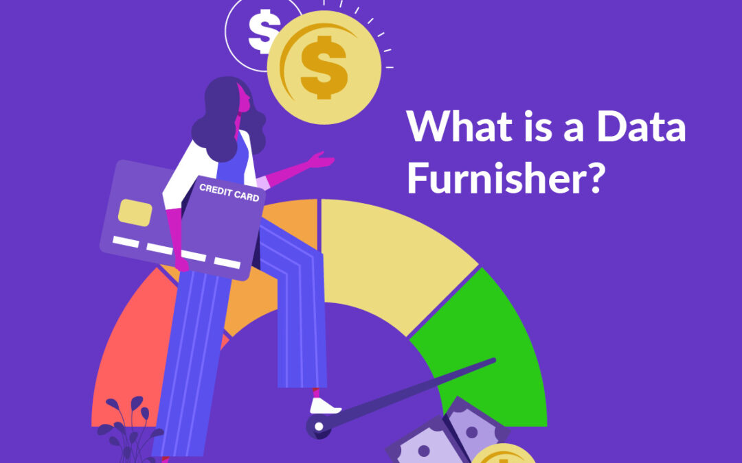 What is a Data Furnisher for Small Business Credit Reporting? 