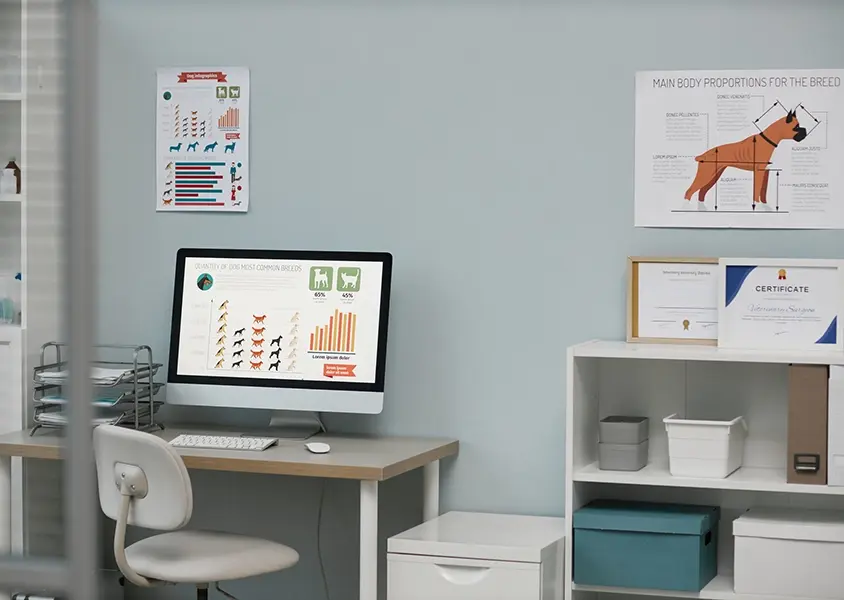 Workplace of vet expert with graphic information describing quantity of dogs most common breeds on screen of computer monitor