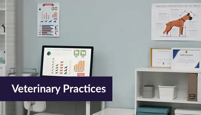 Walmart Marketplace Seller Financing Banner Image